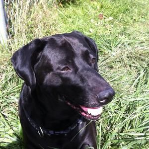 Meet your Posher, Sherry